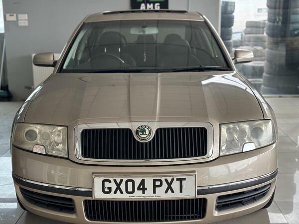 Skoda Superb 1.9 Tdi Pure Drive Elegance Beige #5