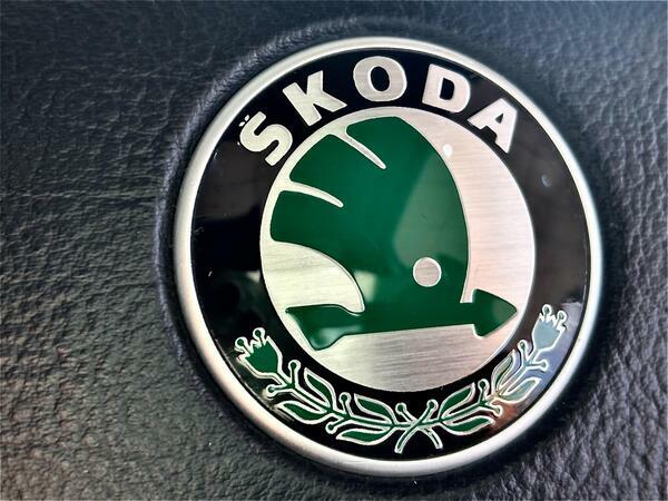 Skoda Superb 1.9 Tdi Pure Drive Elegance Beige #26