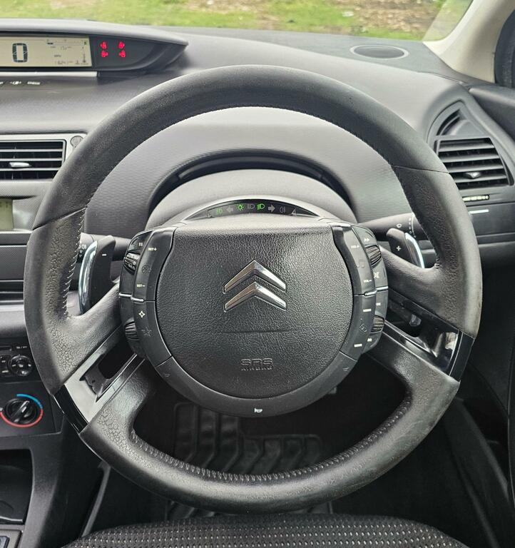 Citroen C4 1.6 Hdi Silver #22