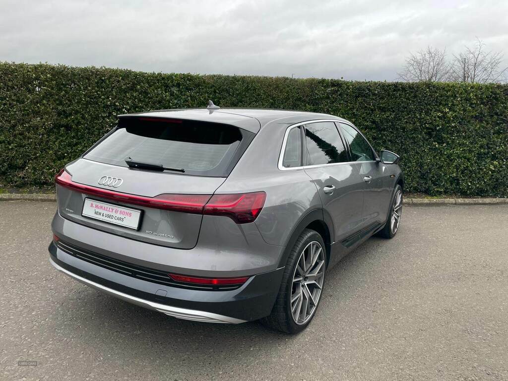 Audi E-tron 230Kw 50 Quattro 71Kwh Technik B17ONA Grey #2