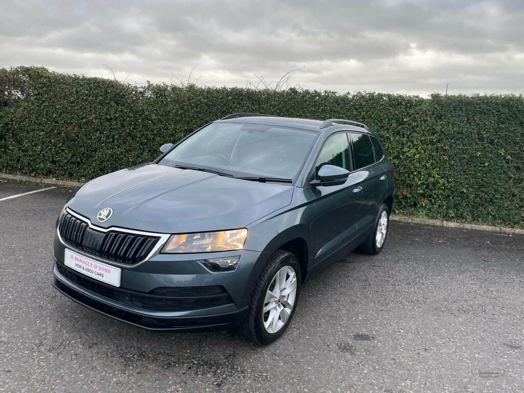 Skoda Karoq 1.6 Tdi Se Technology Dsg MW19EOZ Grey #2