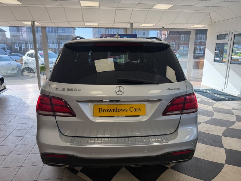 Mercedes-Benz GLE Class Gle 250 D 4Matic KT18KKR Silver #6