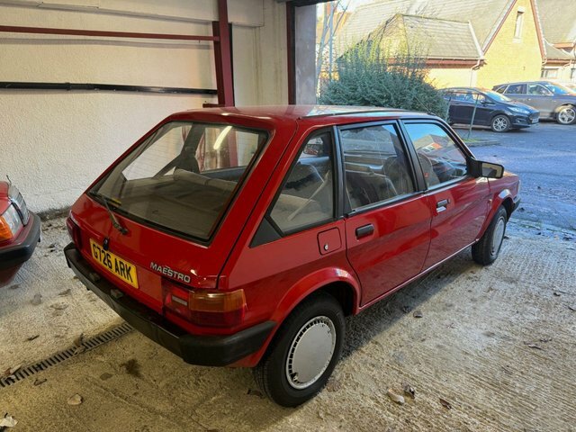 Rover  Maestro L White #2