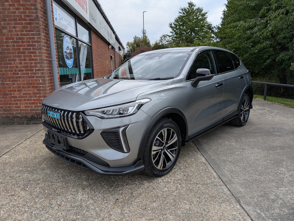 Great Wall Haval Jolion Pro Lux Grey #4