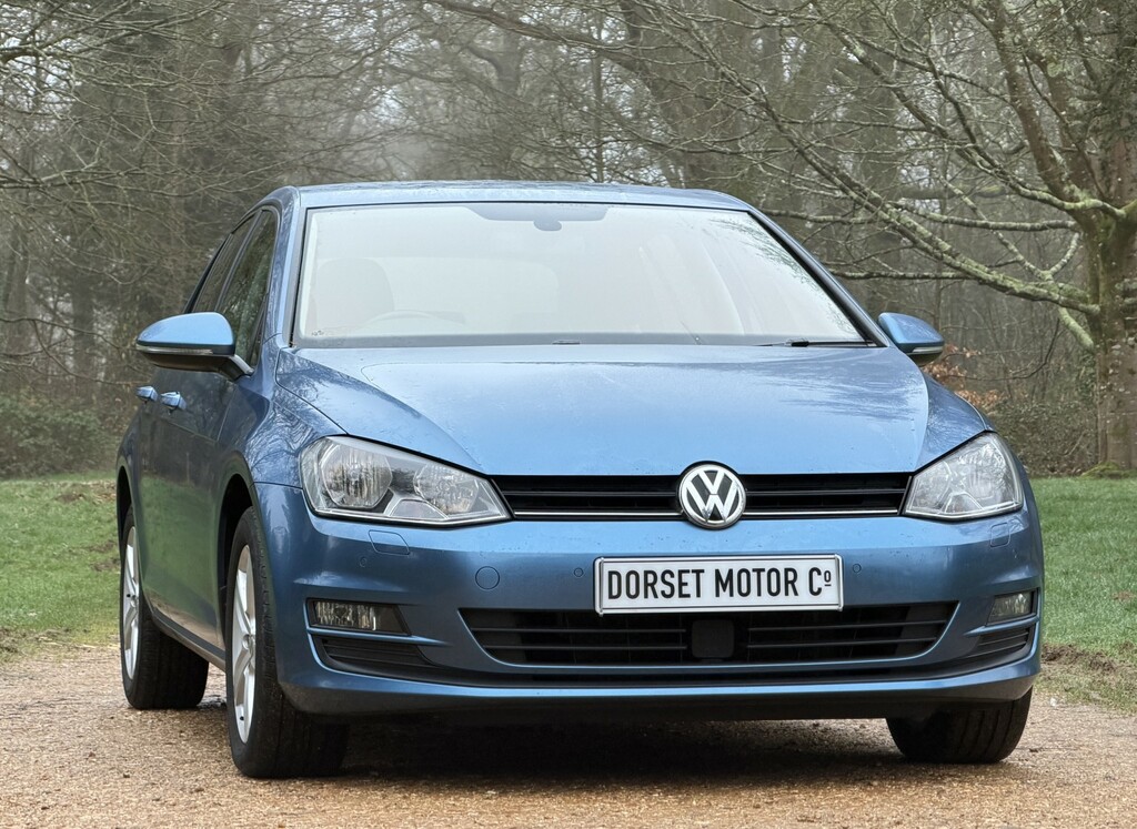 Volkswagen Golf Hatchback 1.6 Tdi Bluemotion Tech Match 2015 CY65KKX Blue