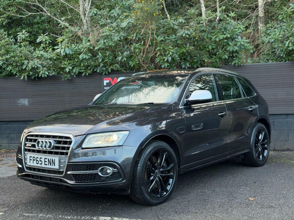 Audi SQ5 3.0 Bitdi V6 Tiptronic Quattro Euro 6 Ss FP65ENN Grey #3
