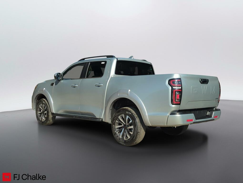 Great Wall POER300 Ultra Silver #2