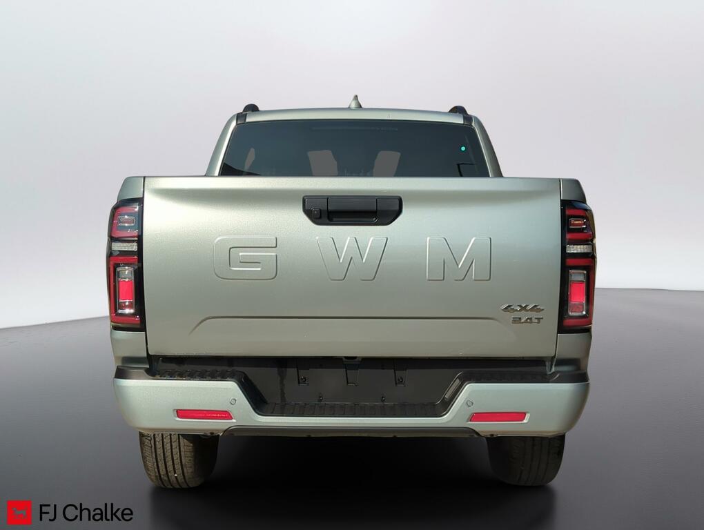 Great Wall POER300 Ultra Silver #4