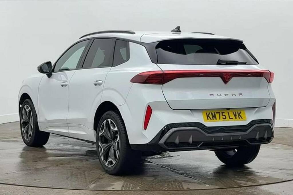 Cupra Terramar 2.0 Tsi 265 Vz1 Dsg 4Drive White #3