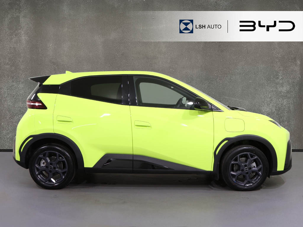 Byd Dolphin 65Kw Boost 43Kwh MM25ZBJ Green #3