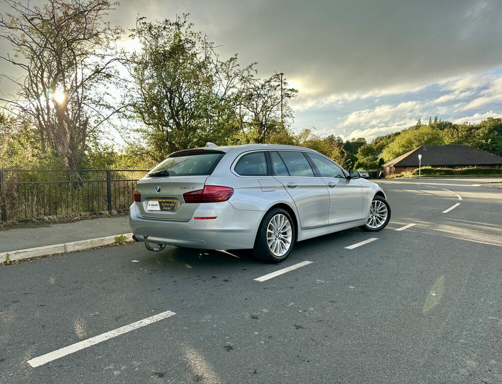 BMW 5 Series 2.0 520D Luxury Touring Euro 6 Ss Silver #6