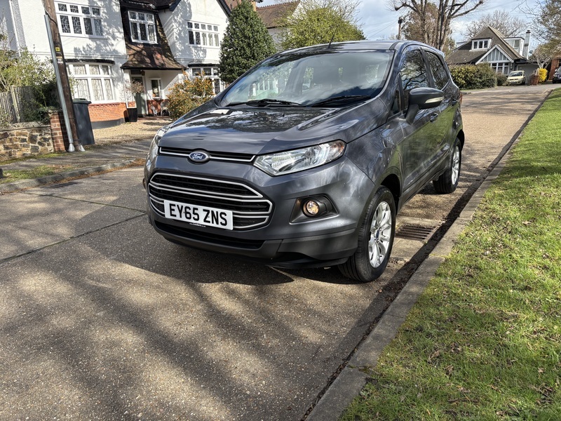 Ford Ecosport Zetec Grey #3