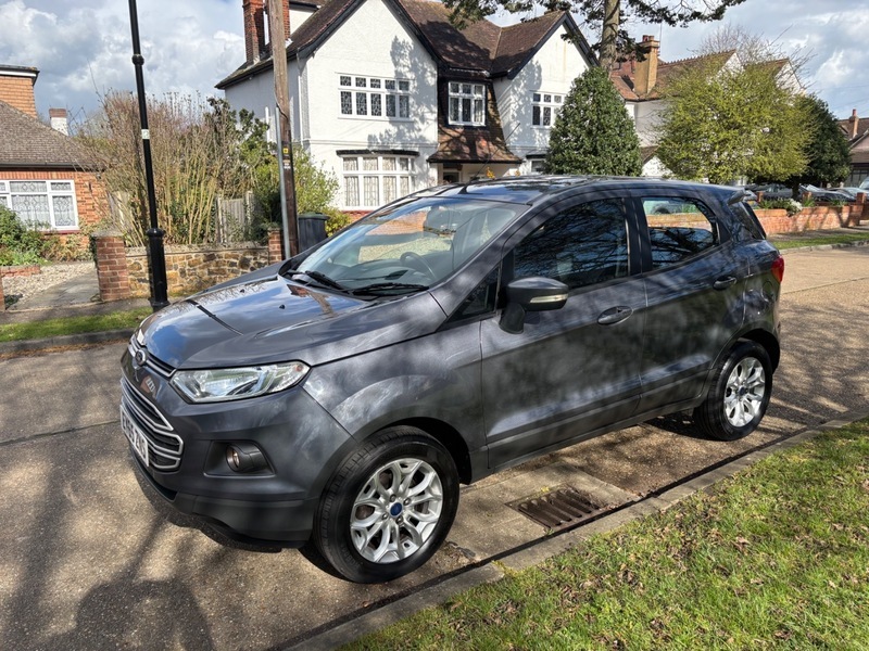 Ford Ecosport Zetec Grey #4