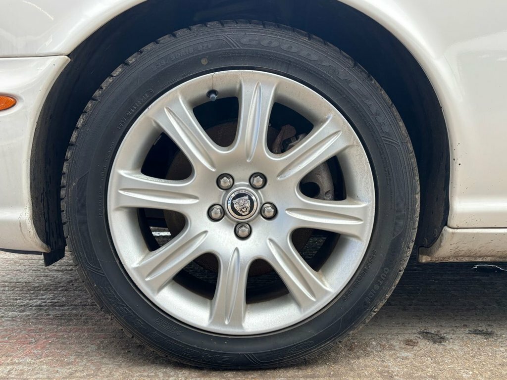 Jaguar  Hse White #32