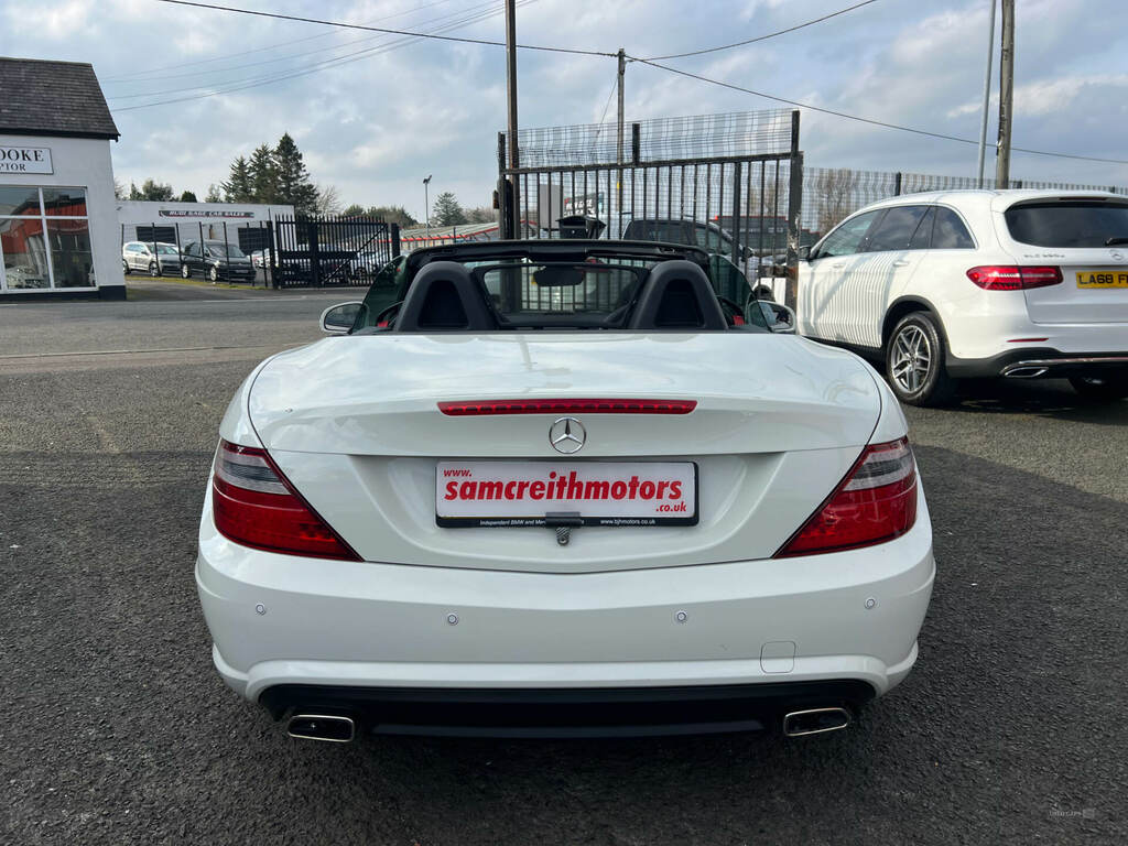 Mercedes-Benz SLK Slk 250 Cdi Blueefficiency Amg Sport Tip LP62URB White #6