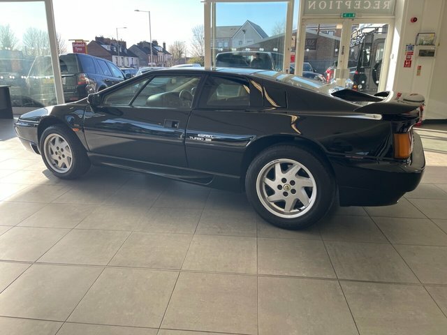 Lotus Esprit Esprit White #10