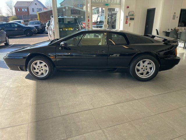 Lotus Esprit Esprit White #11