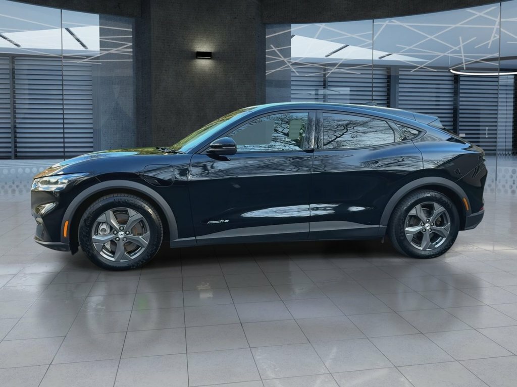 Ford Mustang Mach-E Standard Range 70Kwh Suv 2 LG71SEO Black #4