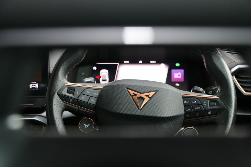 Seat Cupra Formentor Vz2 Tsi 4Drive Grey #20