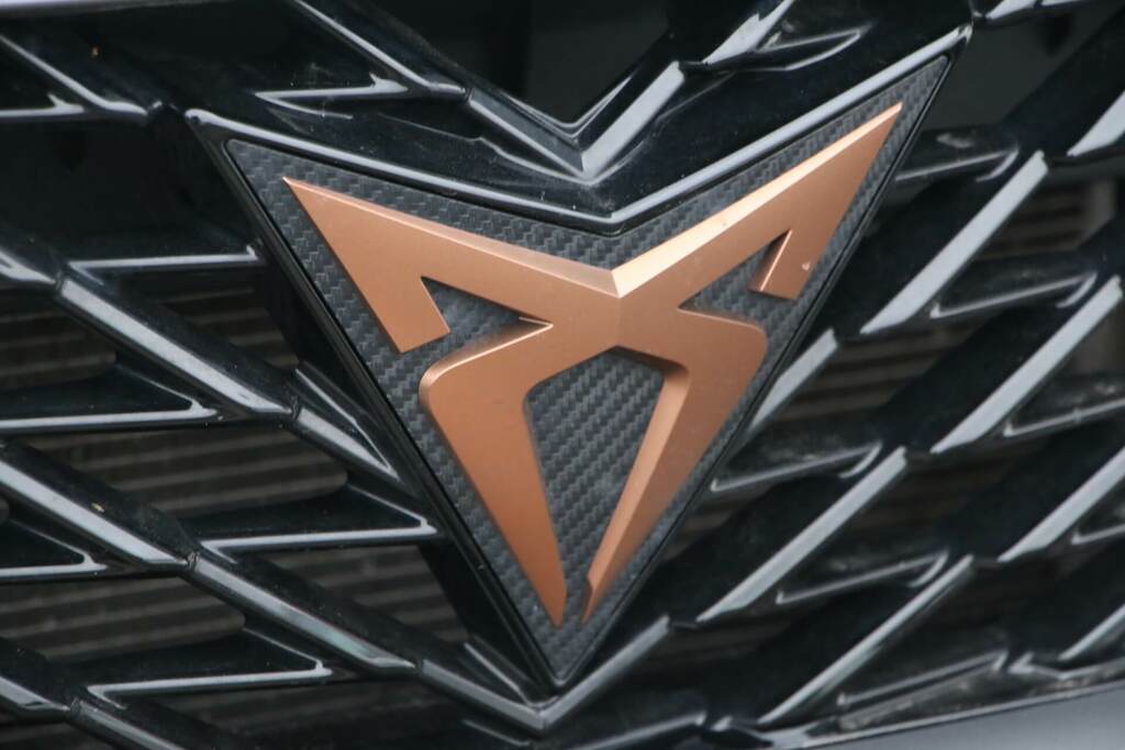 Seat Cupra Formentor Vz2 Tsi 4Drive Grey #27