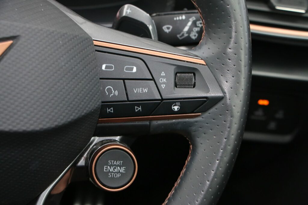 Seat Cupra Formentor Vz2 Tsi 4Drive Grey #32