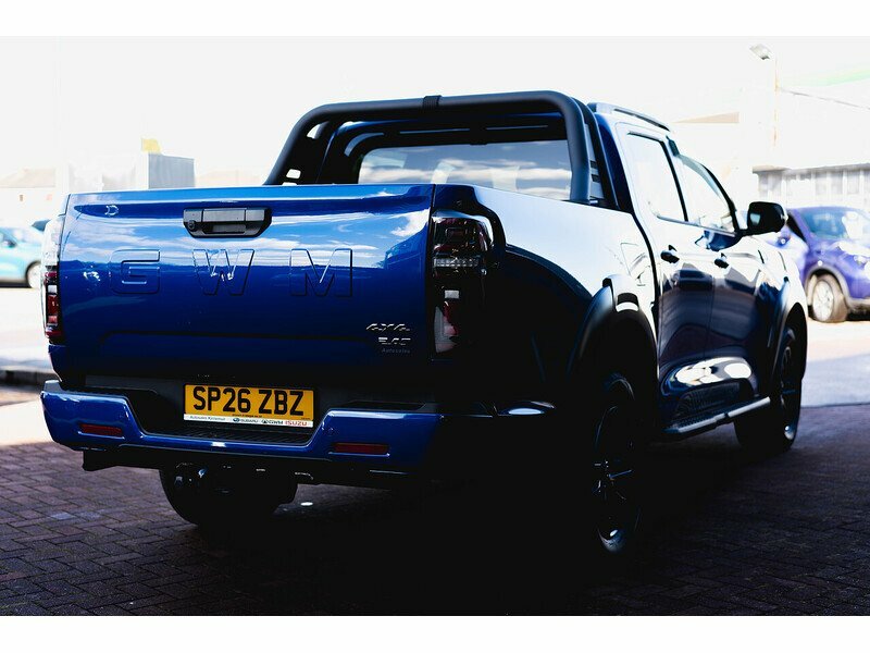 Great Wall POER300 D Vanta - 2026 SP26ZBZ Blue #6