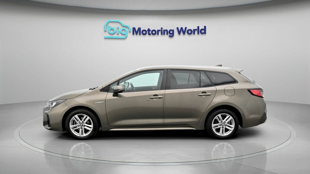 Suzuki Swace Motion Brown #4