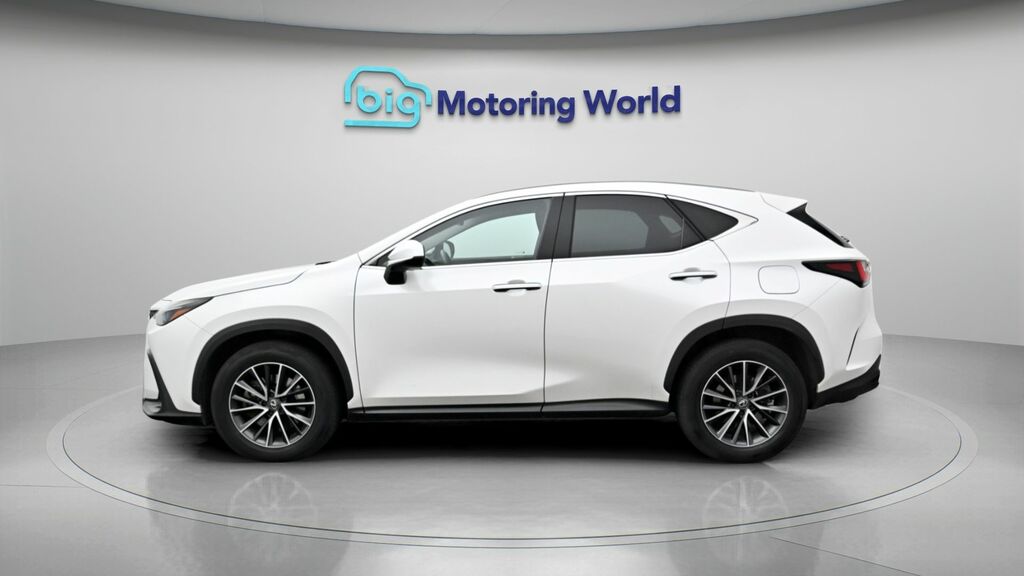 Lexus NX Premium White #4