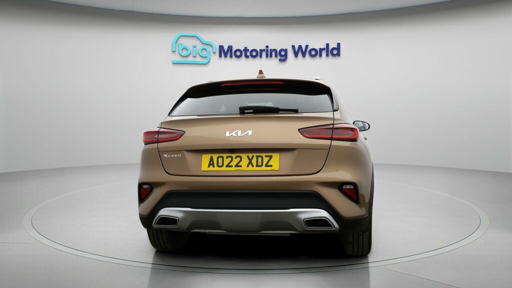 Kia Xceed 3 Brown #6
