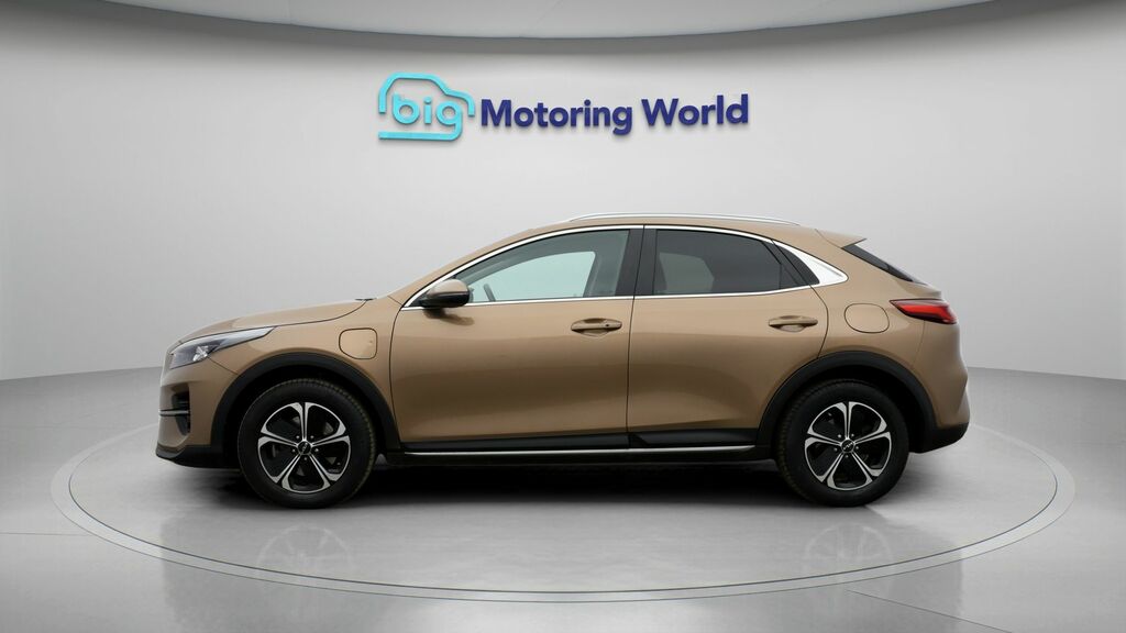 Kia Xceed 3 Brown #4