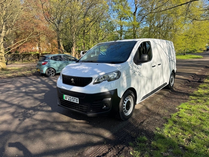 Peugeot Expert Professional L1 Pink