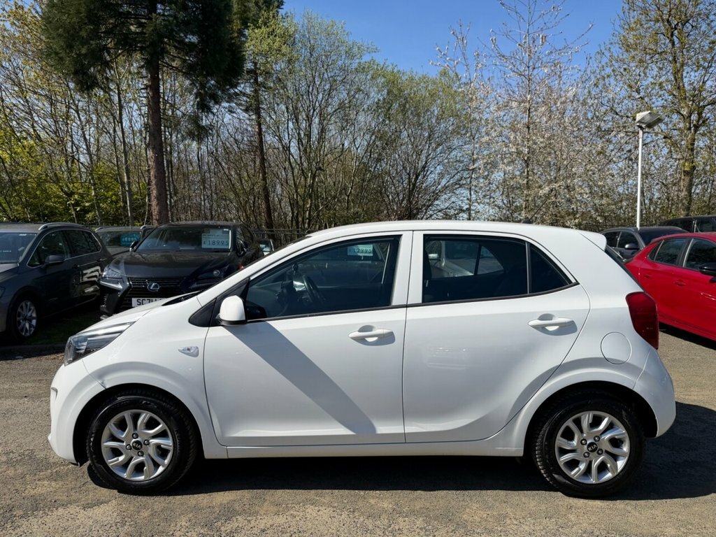 Kia Picanto 1L 2 MT67WZE White #4