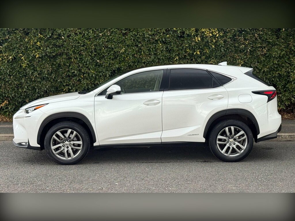 Lexus NX 2.5 300H Luxury E-cvt 4Wd Euro 6 Ss LM65BLJ White #5
