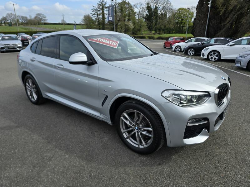 BMW X4 Xdrive20d M Sport Mhev Silver #6