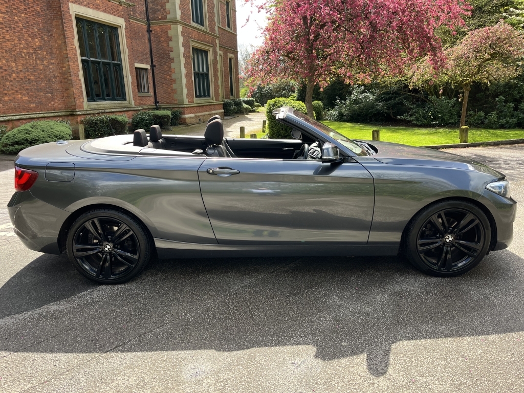 BMW 2 Series Convertible SA15GVV Grey #2