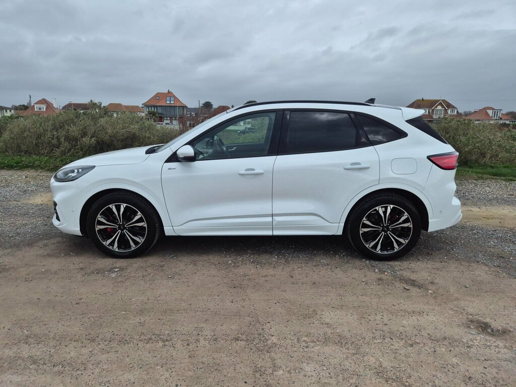 Ford Kuga St-line X Full Hybrid White