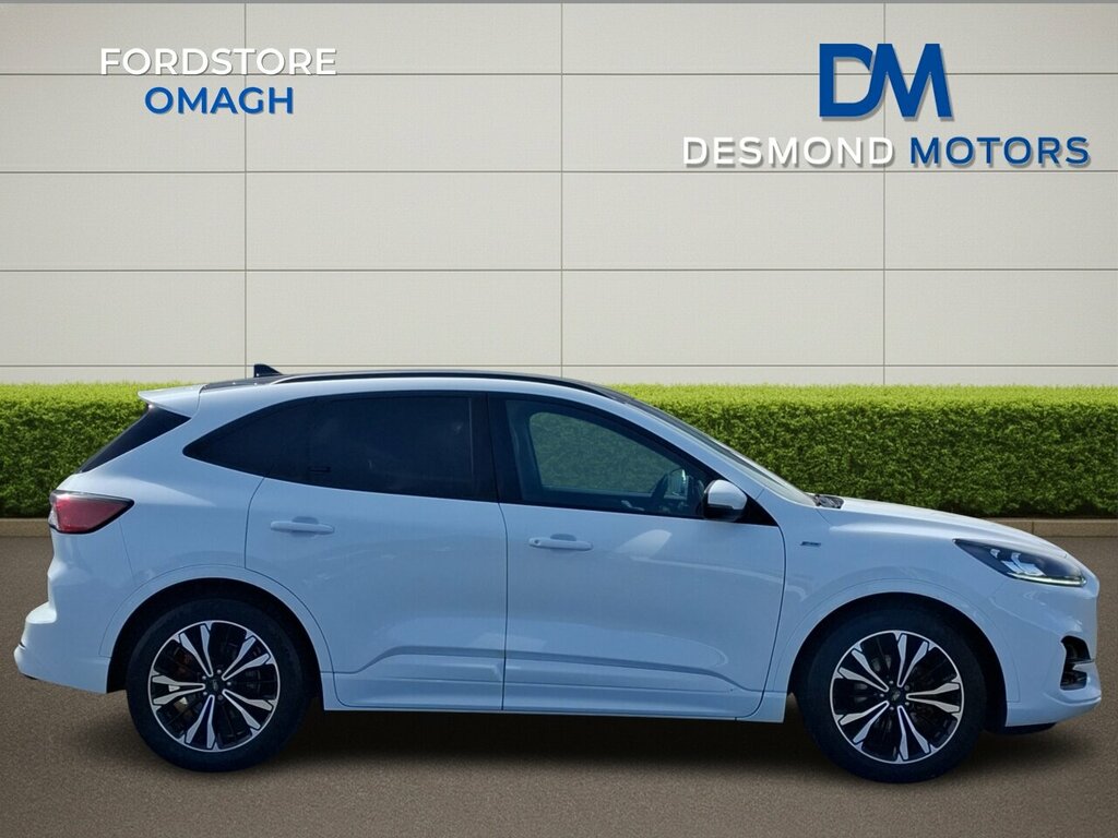 Ford Kuga 1.5Tdci Ecoblue 120Ps St Line X 6 Speed 202 #2
