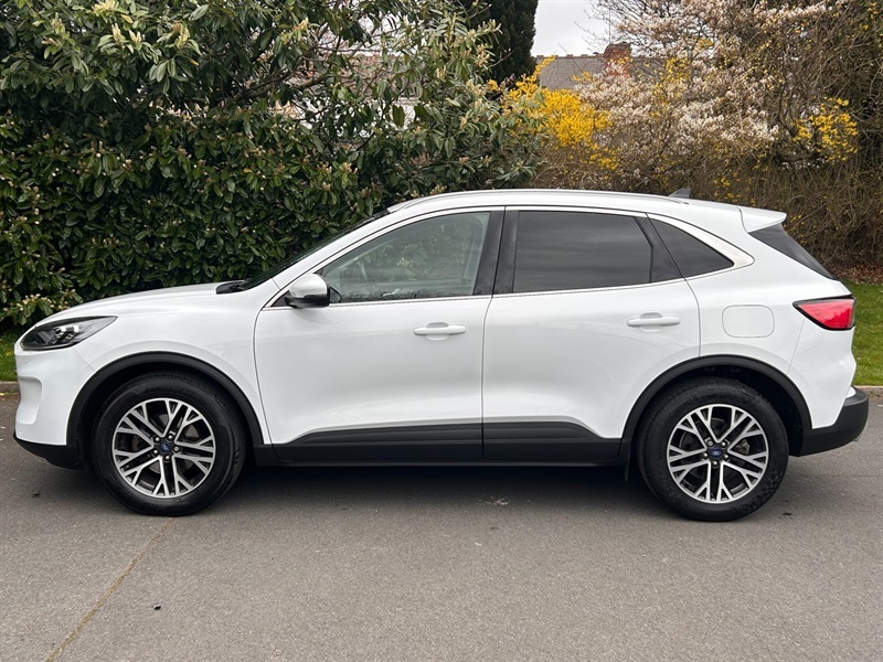 Ford Kuga 2.0 Ecoblue Mhev Titanium Suv Eu BK70CZS White #4