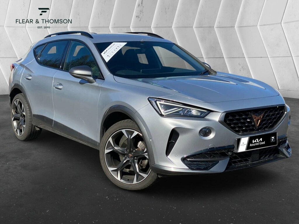 Cupra Formentor 1.5 Tsi V2 Dsg Euro 6 Ss Grey