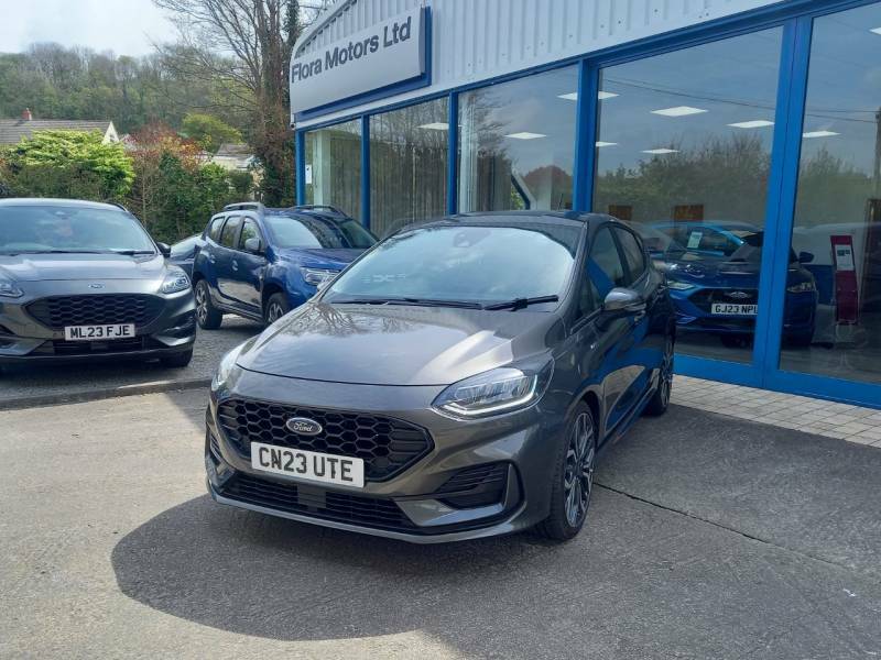 Ford Fiesta 1.0 Ecoboost Hybrid Mhev 125 St-line X - 2023 Grey