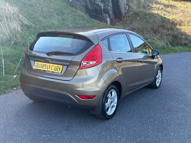 Ford Fiesta 1.25 Zetec Hatchback 129 G Km 8 SY12OLA Brown #4