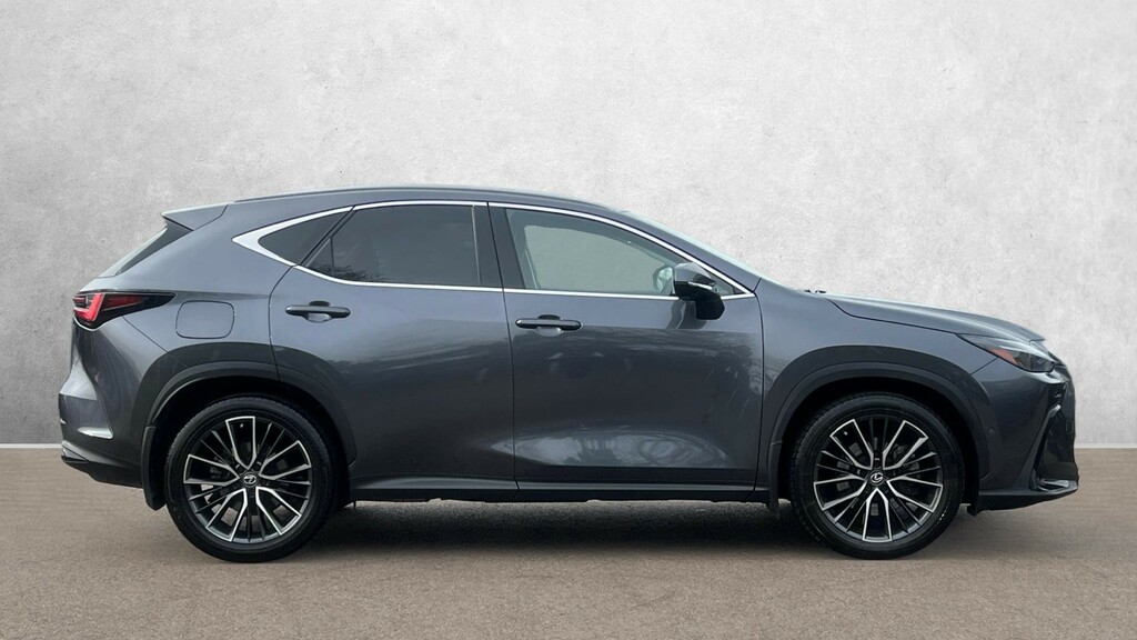 Lexus NX Takumi LT23XKB Grey #5