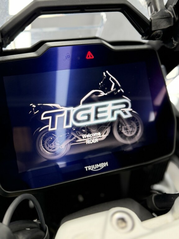 Triumph Rally Explorer AP23OGZ White