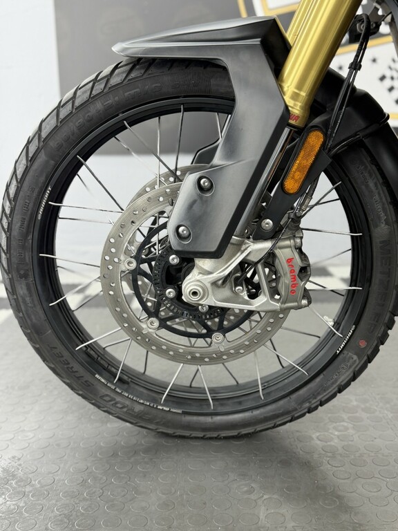 Triumph Rally Explorer AP23OGZ White #5