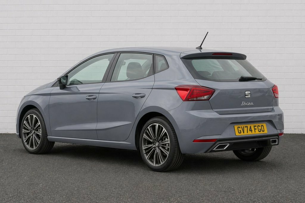 Seat Ibiza 1L Anniversary Limited Edition GV74FGO Grey #2