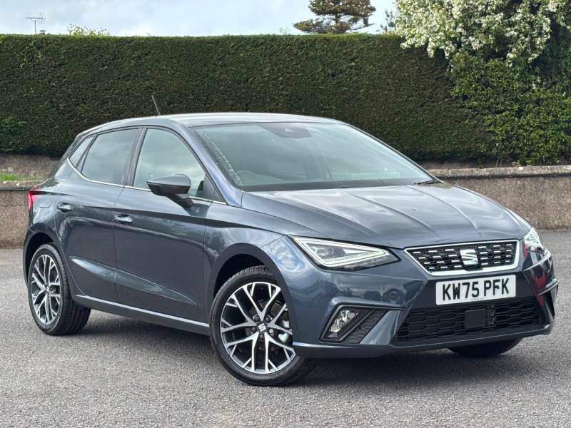 Seat Ibiza 1.0 Tsi 95 Xcellence - 2025 75 Grey