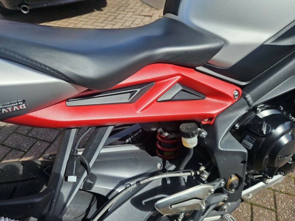 Triumph Triple 675 Rx SL15GLJ Silver #2