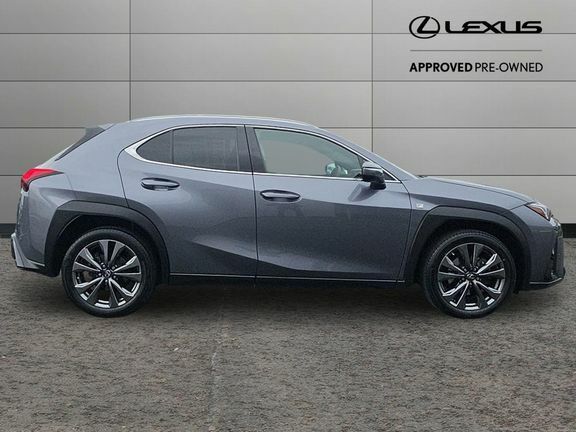 Lexus UX F Sport With Navi DV71OOJ Grey #2