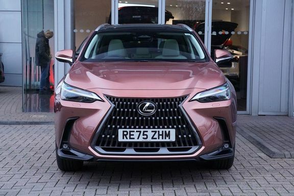 Lexus NX Nx450h Premium Plus Pan RE75ZHM #5