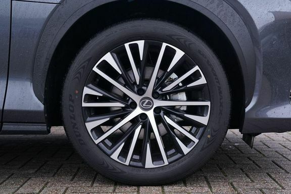 Lexus RZ 350E Premium Plus 20 RJ75YSX Grey #5